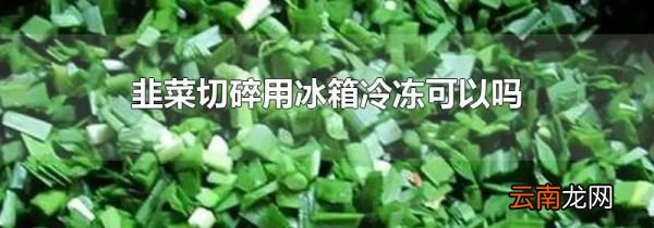 韭菜切碎用冰箱冷冻可以吗