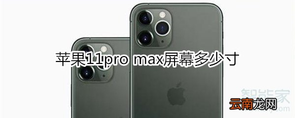 苹果11pro max多少寸