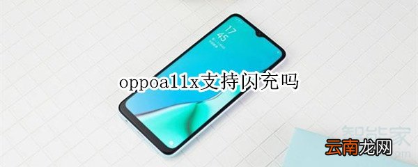 oppoa11x支持闪充吗