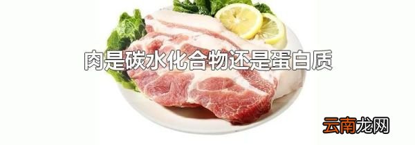 肉是碳水化合物还是蛋白质