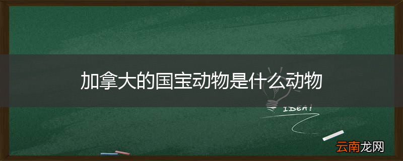 加拿大的国宝动物是什么动物
