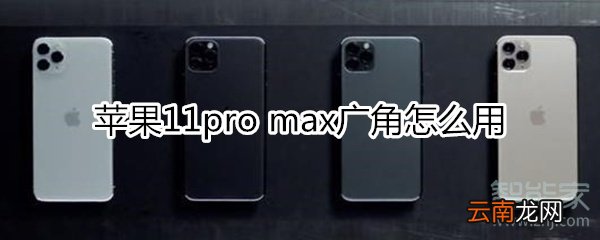 苹果11pro max广角怎么用