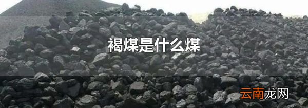 褐煤是什么煤