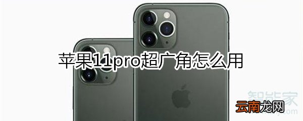 苹果11pro超广角怎么用