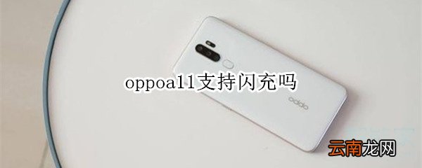 oppoa11支持闪充吗