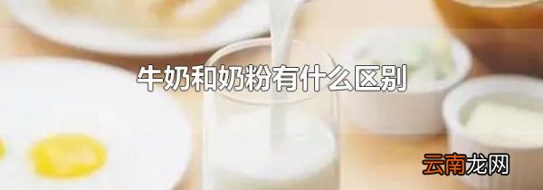 牛奶和奶粉有什么区别