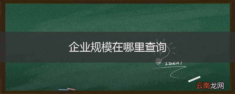 企业规模在哪里查询