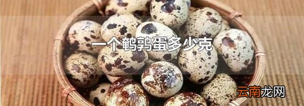 一个鹌鹑蛋多少克