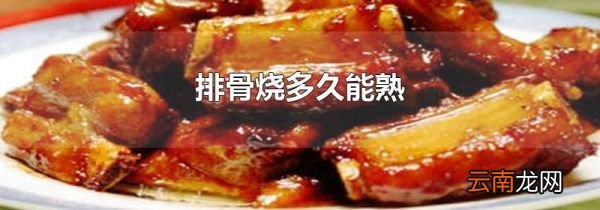 排骨烧多久能熟