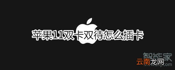 苹果11双卡双待怎么插卡