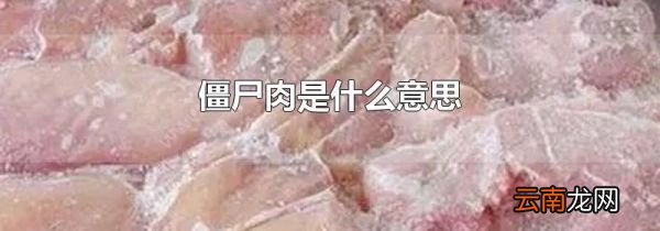 僵尸肉是什么意思