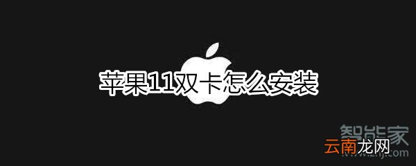 苹果11双卡怎么安装