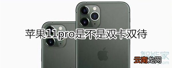 苹果11pro是双卡吗