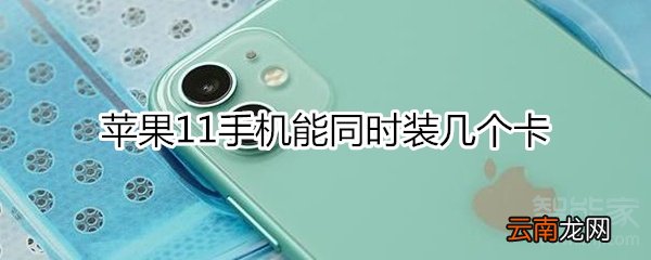 苹果11手机能同时装几个卡