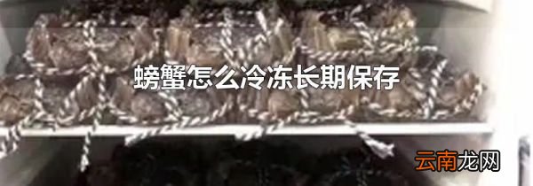 螃蟹怎么冷冻长期保存