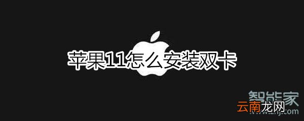 苹果11的双卡怎么安装