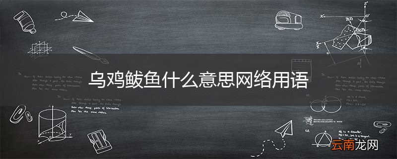 乌鸡鲅鱼什么意思网络用语