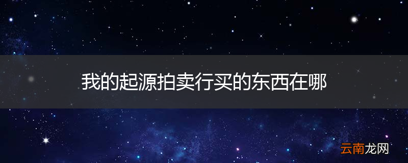 我的起源拍卖行买的东西在哪