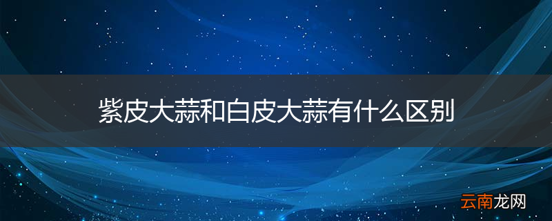 紫皮大蒜和白皮大蒜有什么区别