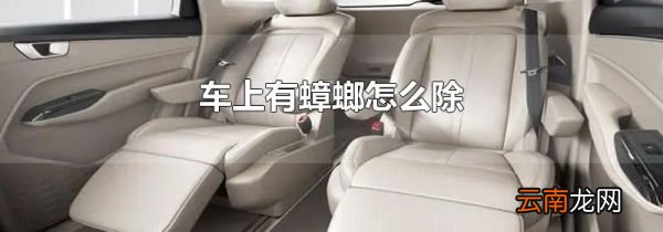 车上有蟑螂怎么除