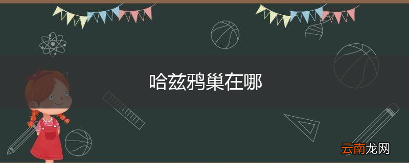 哈兹鸦巢在哪