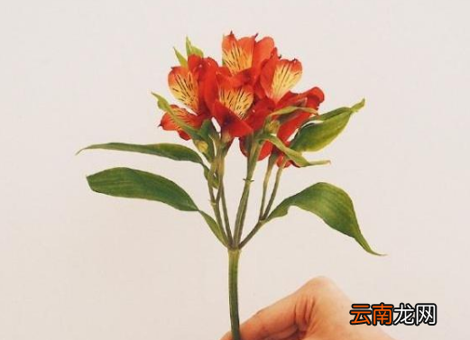 劳动节祝福语精选