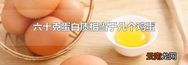 六十克蛋白质相当于几个鸡蛋