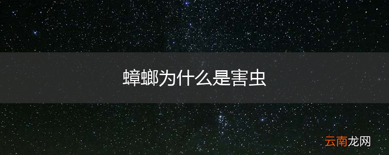 蟑螂为什么是害虫