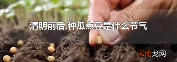 清明前后,种瓜点豆是什么节气