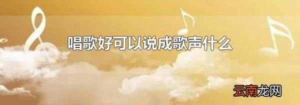 唱歌好可以说成歌声什么
