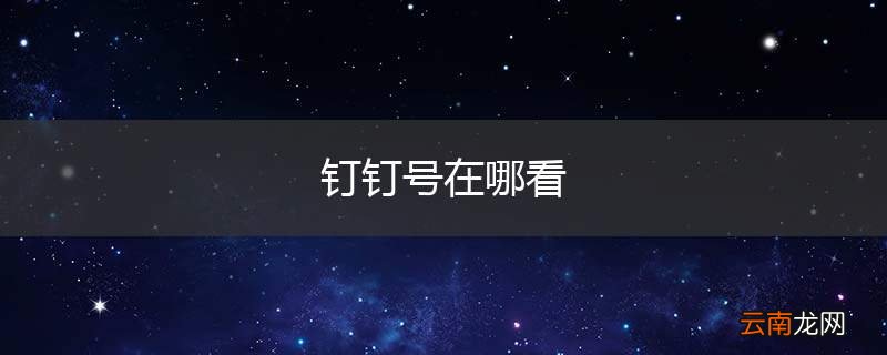 钉钉号在哪看