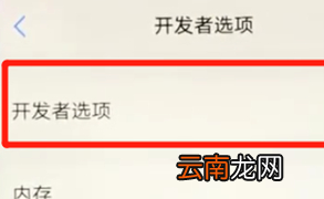 vivoz3中将开发者选项打开具体操作步骤