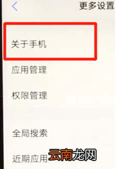 vivoz3中将开发者选项打开具体操作步骤