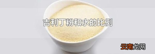 吉利丁粉和水的比例