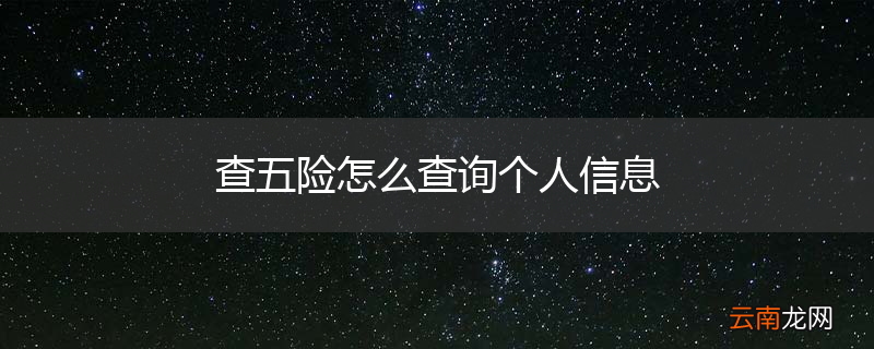查五险怎么查询个人信息