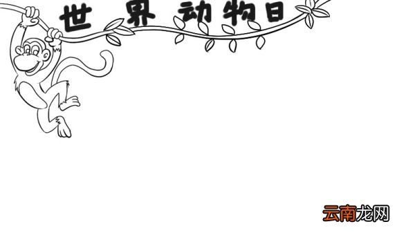 世界动物日手抄报