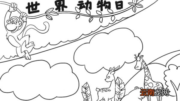 世界动物日手抄报