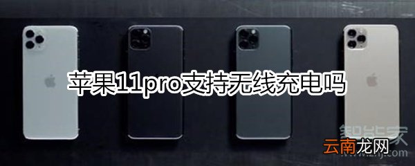 苹果11pro支持无线充电吗