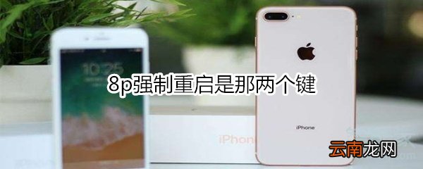 8p强制重启是那两个键