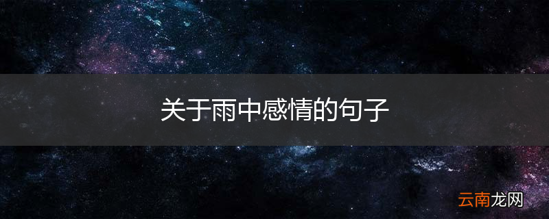 关于雨中感情的句子