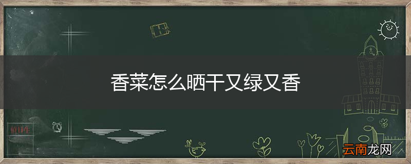 香菜怎么晒干又绿又香