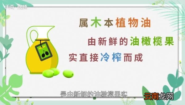 橄榄油的用途橄榄油有什么用处