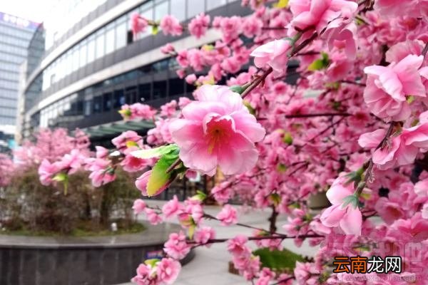 海信A2手机值不值得买？海信双屏手机A2优缺点评测