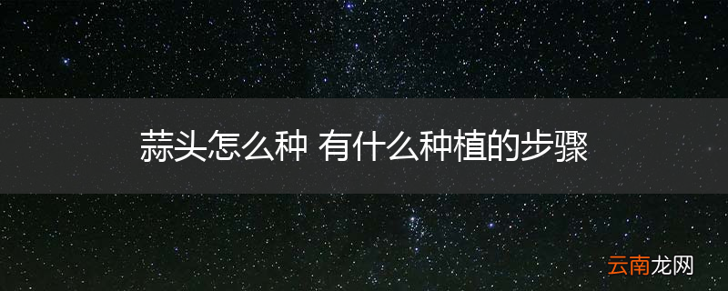 蒜头怎么种 有什么种植的步骤