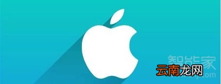 apple store是官方的吗