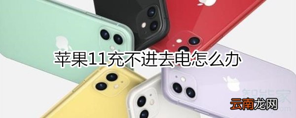 苹果11充不进去电怎么办