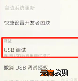 vivoz3中找到usb调试具体步骤介绍
