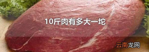 10斤肉有多大一坨