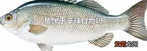 鱼属于辛辣食物吗