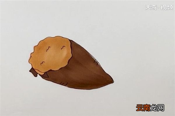 红薯简笔画